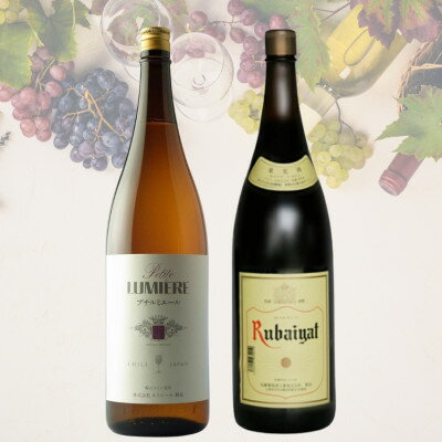 【ふるさと納税】一升瓶2本セット(4)　036【配送不可地域：離島】【1641891】