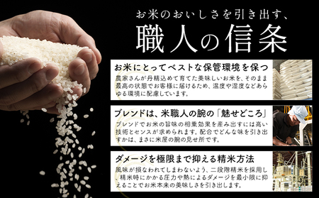 【3ヶ月定期便】米 無洗米 家庭用 熊本 ふるさと応援 定期便 米  10kg《申込み翌月から発送》 熊本県産 白米 精米 山江村 ブレンド米 国産 おうちご飯 予約 返礼品 発送 配送 SDGs わ