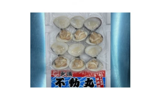 はまぐり 九十九里産 酒蒸し 冷凍 1.2kg（300g×4袋）ハマグリ 冷凍はまぐり 瞬間冷凍 急速冷凍 天然  蛤  魚介 魚貝 海鮮  貝  出汁 だし 味噌汁 グラタン 九十九里浜  お祝い 祝い ひなまつり 節句 おせち 贅沢 人気 おすすめ 贈答 ギフト お取り寄せ 送料無料 ふるさと納税  不動丸 千葉県 旭市