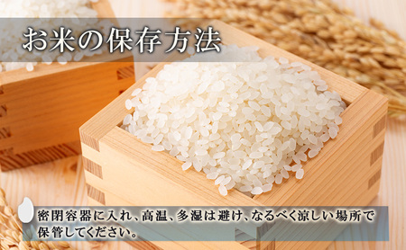 【新潟県上越市産】　新米コシヒカリ5kg 米 新米 こしひかり ご飯 精米 お米 新潟 