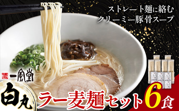 ラーメン 一風堂 白丸 ラー麦麺 6食 地域商社ふるさぽ《90日以内に出荷予定(土日祝除く)》福岡県 鞍手郡 小竹町 ラーメン とんこつ 豚骨スープ 豚骨ラーメン ラー麦 麺---sc_fsipdr_90d_26_11000_6s---