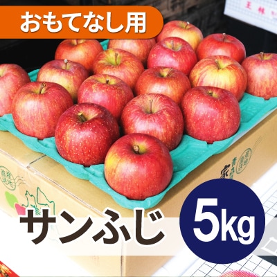 【26年1月出荷予定】平均糖度13度以上! サンふじ 約5kg おもてなし用【配送不可地域：離島・沖縄県】【1612817】