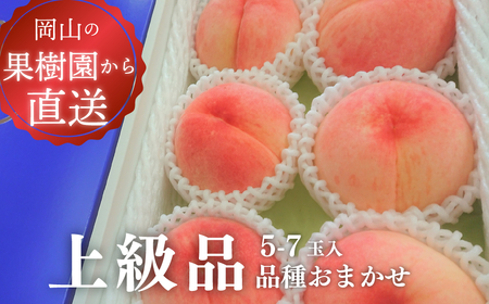 【きよとうファーム】旬採り桃の上級品 5-7玉入  (岡山県産) / もも 桃 モモ 先行予約 フルーツ 果物 真庭市 フルーツ王国 きよとう果樹園 岡山【KF-A002-02】