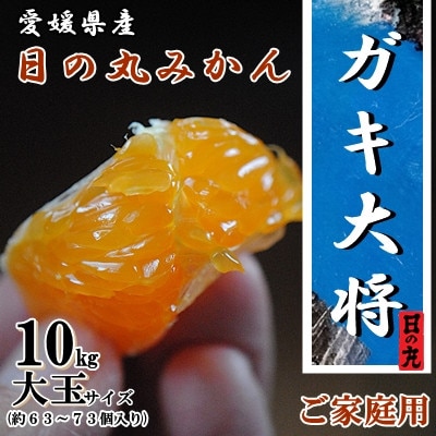 果汁しっかり自然の恵み!「ガキ大将」10kg(大玉サイズ)日の丸みかん/ご家庭用【D79−13】【1452036】