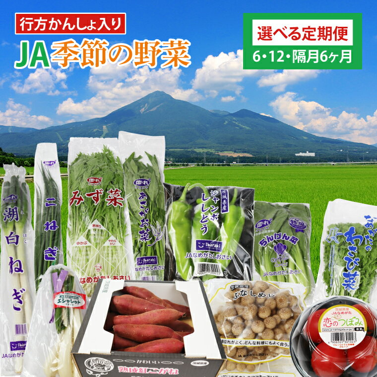 【ふるさと納税】【選べる定期便】『行方かんしょ』入り JAなめがたしおさい 季節の野菜セット（AE-23）