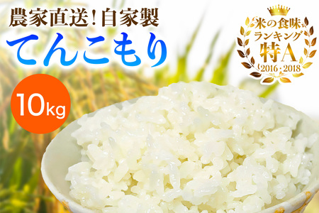 [2025年10月下旬頃から発送] 米 10kg(5kg×2袋) 農家直送！自家製 てんこもり｜先行予約 お米 おこめ コメ 白米 神奈川 伊勢原 [0527]