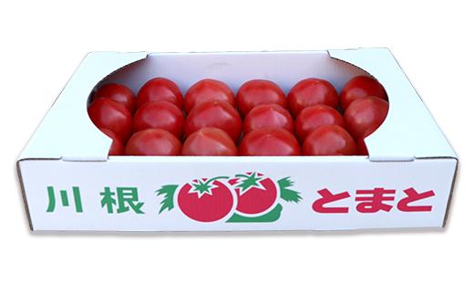 030厳選！茨城町産トマト4kg（15～24玉）