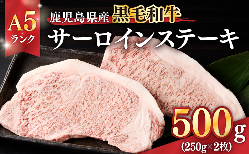 1397-1 鹿児島県産黒毛和牛A5ランクサーロインステーキ 500g（250g×2枚）　KN041-001-01