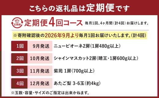 【4回定期便】 ニューピオーネ 晴王 紫苑 あたご梨 【2026年9月上旬より順次発送開始】 梨 葡萄 ブドウ ぶどう フルーツ 果物 ギフト 国産 岡山県産