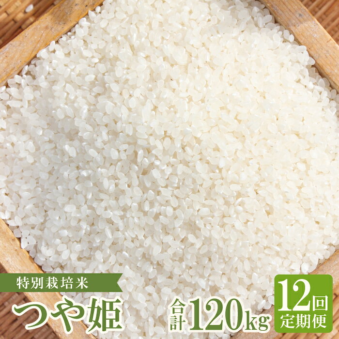 【ふるさと納税】【定期便】【新米】 特別栽培米 横尾衛門のつや姫 白米 10kg×12回 コース 12ヵ月 1年 定期 毎月お届け 産地直送 精米 ご飯 弁当 おにぎり 特産品 ブランド米 ツヤ姫 こだわり お米 お取り寄せ 12回定期
