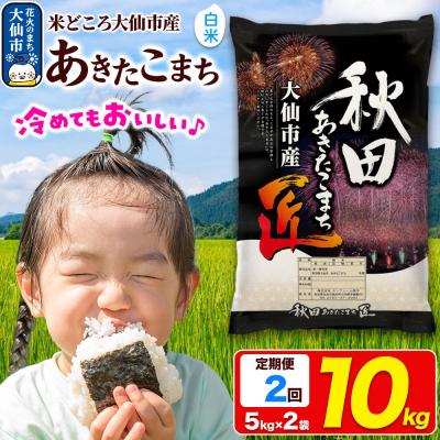 ふるさと納税 大仙市 《2ヶ月》米【白米】 あきたこまち 10kg令和7年産|22_snk-011002