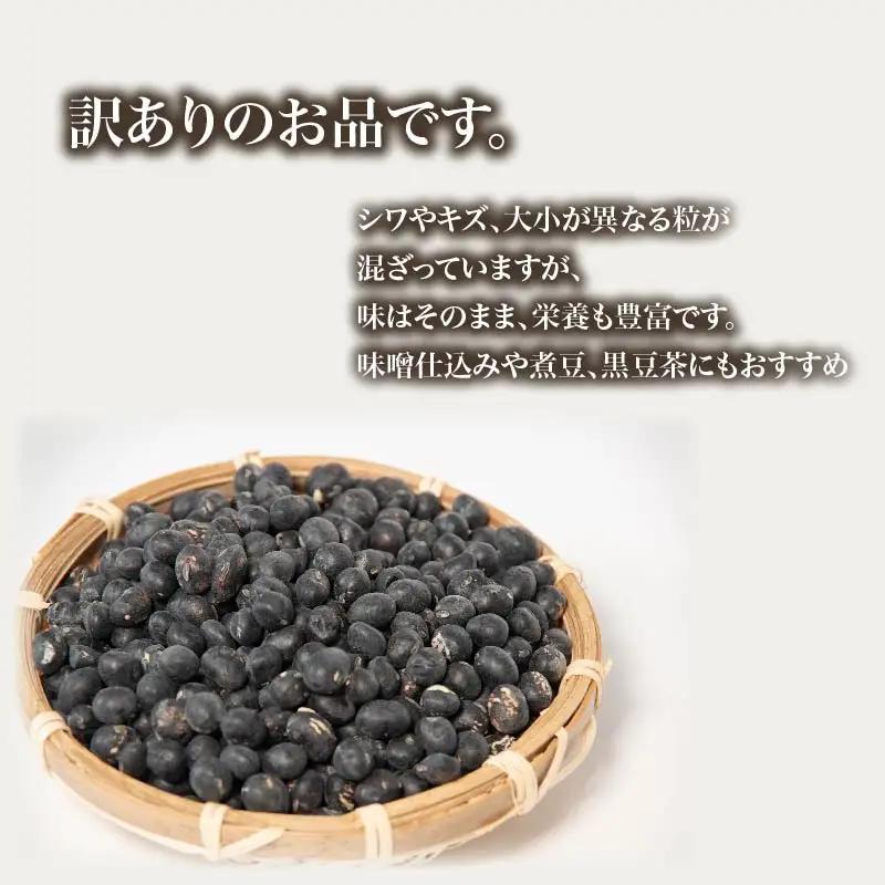 【 訳あり 】【先行予約】 令和8年産 黒大豆 丹波 黒豆 2kg B級品 ( 栽培期間中 化学肥料不使用 環境こだわり くろまめ 丹波 大豆 おせち 乾燥豆 産地直送 農家直送 滋賀県竜王 送料無料