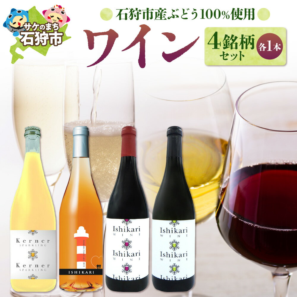 【ふるさと納税】《レビューキャンペーン》ギフト お酒 ワイン　石狩市産ぶどうで作ったワイン4銘柄セット(各750ml)　4本 4種類 赤白 スパークリング デザイン 国産ワイン 北海道 北海道産 お酒 ワイン ロゼ 白 二種類 セット ご当地ワイン 人気[のし対応]