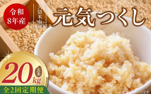 【定期便2回】【令和8年産 新米】福岡県産ブランド米元気つくし 玄米 20kg×2回 _  元気つくし 20kg お届け回数 2回 定期便 福岡県産 ブランド米 新米 福岡生まれ 品種 香り豊か ふっくら 食感 ご飯 おにぎり 弁当 お米 食品 お取り寄せ 九州 久留米市産 福岡県 久留米市 送料無料 _Tk117-02