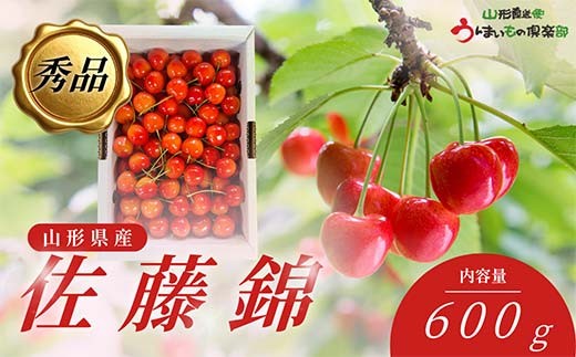 【2026年6月発送】 さくらんぼ 佐藤錦 秀品 600g FSY-2783