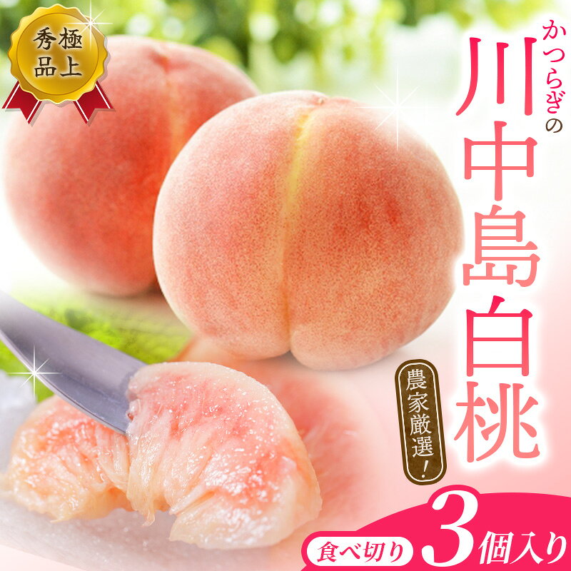 【ふるさと納税】 【秀品】川中島白桃 食べきりやすい3個入り 【2027年7月下旬から順次発送】こだわり 農家厳選 先行予約 モモ 【KG16】｜桃 白桃 白鳳 フルーツ 果物