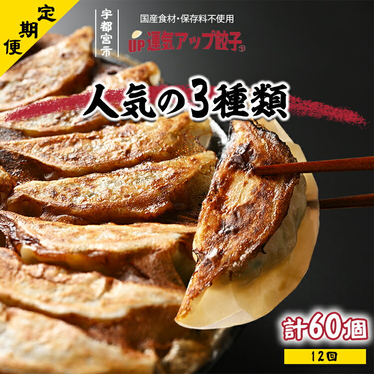 【ふるさと納税】【定期便12回】宇都宮餃子 運気アップ餃子 豚餃子3種類(合計60個)　保存料不使用【ぎょうざ ギョウザ ギョーザ 冷凍食品 冷凍餃子 惣菜 夜ご飯 おかず おつまみ 手軽 時短 お取り寄せ グルメ 送料無料 栃木県 宇都宮市】※配送不可地域：離島