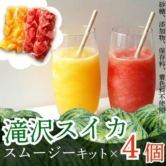 滝沢スイカ スムージー キット 4本 セット 【BON JEWEL】