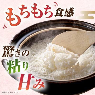 ふるさと納税 糸島市 【全9回定期便】ミルキークイーン10kg(5kg×2)玄米・精米専門店新飼宗一郎商店[ADE015] |  | 01