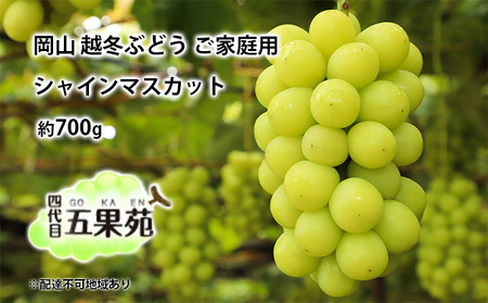  ぶどう 越冬ぶどう ご家庭用 シャインマスカット 約700g   岡山