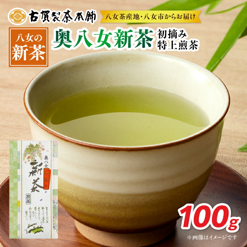 【ふるさと納税】古賀製茶本舗 奥八女初摘み新茶 特上煎茶100g【2026年5月以降発送】 【メール便】 お茶 緑茶 新茶 高級 八女茶 福岡県 八女市