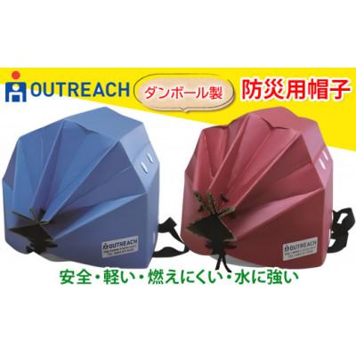 ふるさと納税 伊勢原市 「テレビで紹介されました!」軽くて強い!アウトリーチ防災用帽子2個セット(青・赤)[0224]