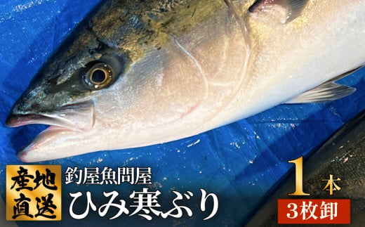 ひみ寒ぶり1本（3枚おろし)  富山県 氷見 氷見漁港 能登 寒ブリ １本 天然鰤 処理 ３枚卸 釣屋魚問屋 天然 鮮魚 ブリ 産地直送