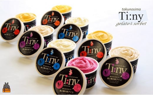 1389～完熟マンゴー＆パッション＆ドラゴンetc～徳之島プレミアムジェラート＆ソルベ （ アイス スイーツ  スイーツ 食べ比べ 5種類 マンゴー パッションフルーツ ドラゴンフルーツ ラムレーズン タンカン 塩 シークニン しょうが 向春草 シマアザミ アイスクリーム 洋菓子 徳之島 奄美 鹿児島 )