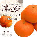 【ふるさと納税】 ＜2月より発送＞家庭用 津之輝1.5kg+45g（傷み補償分）つのかがやき【わけあり・訳あり】【光センサー選別】