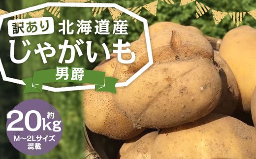 【訳あり】北海道産 じゃがいも 男爵 M～2Lサイズ混載 約20kg 1箱 山田農場 ジャガイモ 芋 いも イモ 訳アリ わけあり ワケアリ 国産 【2025年9月下旬-2026年3月上旬迄発送予定】