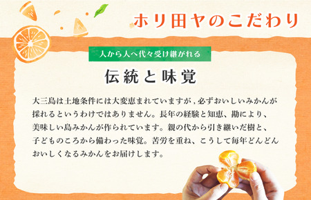 【先行予約】【受付は11月末まで！】ホリ田ヤ 大三島まどんな サイズばら 2.5キロ [KB00810]