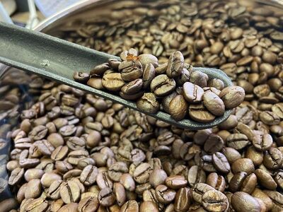 自家焙煎珈琲豆 シングル 4種類飲み比べ 30g 4種×4袋 計16袋【豆でお届け】｜SAKURA黒猫堂 珈琲 焙煎 コーヒー豆 [0635]