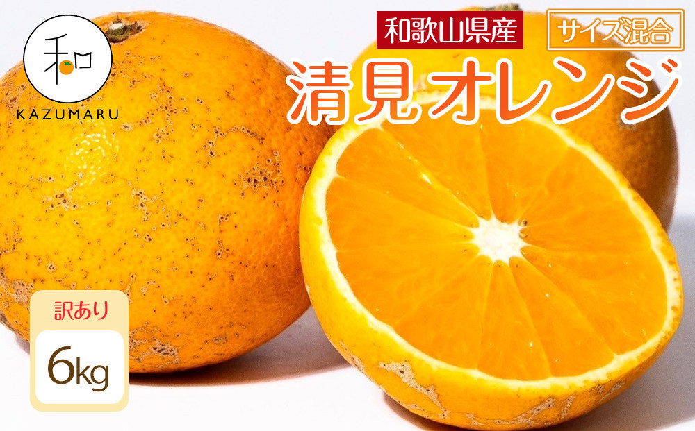 
            訳あり 森本農園の手選別 清見オレンジ 6kg 和歌山県産 サイズ混合 ［北海道・沖縄・離島配送不可］［RN24］［2026年2月上旬から5月中旬頃順次発送予定］
          