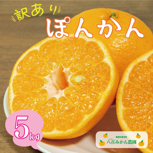 先行予約 訳あり ポンカン 5kg 7000円 ぽんかん みかん mikan 蜜柑 わけあり ミカン 家庭用 産地直送 国産 農家直送 防腐剤不使用 糖度 期間限定 数量限定 特産品 ゼリー ジュース アイス 人気 限定 甘い 果実 果肉 フルーツ 果物 柑橘 先行 事前 予約 受付 美味しい おいしい ジューシー さわやか サイズ ミックス 八百みかん農園 愛南町 愛媛県