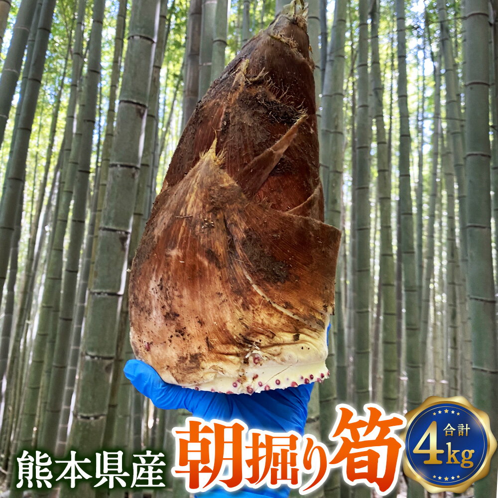 【ふるさと納税】熊本県産朝掘り筍 約4kg たけのこ タケノコ 国産 旬 皮付き 野菜 新鮮 朝掘り 煮物 お吸い物 サラダ 冷蔵 九州 熊本県 送料無料 【2027年4月1日～2027年4月30日発送予定】
