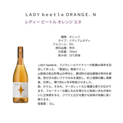 ふるさと納税 甲州市 フジクレールワイナリー LADY beetle ORENG.N　750ml |  | 01