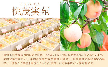 白桃 約900g 桃茂実苑 【配送不可地域あり】