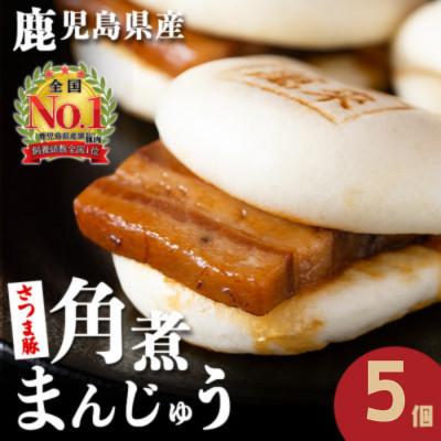 ふるさと納税 志布志市 さつま豚角煮まんじゅう5個入り