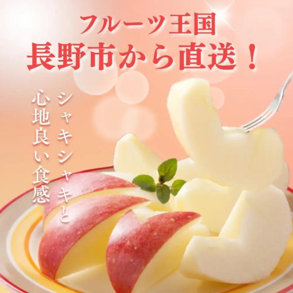 長野市産サンふじ 約5kg(13～16玉)【2026年12月上旬頃発送予定】OKABE fruits |リンゴ リンゴ