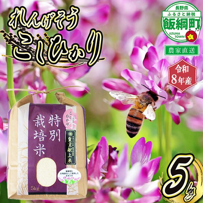 【ふるさと納税】 米 れんげそう こしひかり 5kg ( 令和8年産 ) 特別栽培米 仲俣農園 長野県 飯綱町 〔 コシヒカリ 新米 お米 信州 予約 農家直送 〕発送時期：2026年10月上旬〜 [お届け1回 (**)]