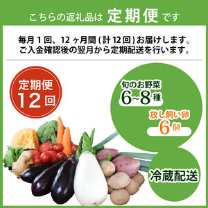 【定期便12回】【産地直送】旬のお野菜詰め合わせ 6～8種類 卵 6個付き ( 京野菜 野菜 お野菜 やさい セット 野菜セット 詰め合わせ 詰め合わせセット 季節 旬 旬野菜 産地直送 栄養 安心 