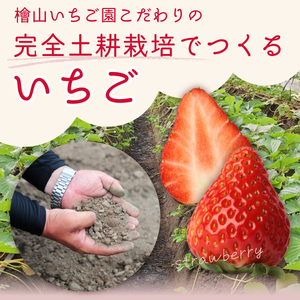 【先行予約/2027年】定期コース 厳選いちご 2パック 5回 定期便 《2027年1月以降順次発送》いちご 苺 