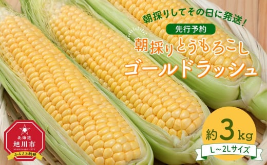 【26年先行予約】朝採り　とうもろこし　ゴールドラッシュ　約3kg（L～2Lサイズ× 8本）（2026年8月中旬から順次発送予定）【 人気 北海道産 糖度 生 野菜 スイートコーン 産地直送 バーベキュー BBQ コーン 旬 お取り寄せ 旭川市 北海道 】_04659