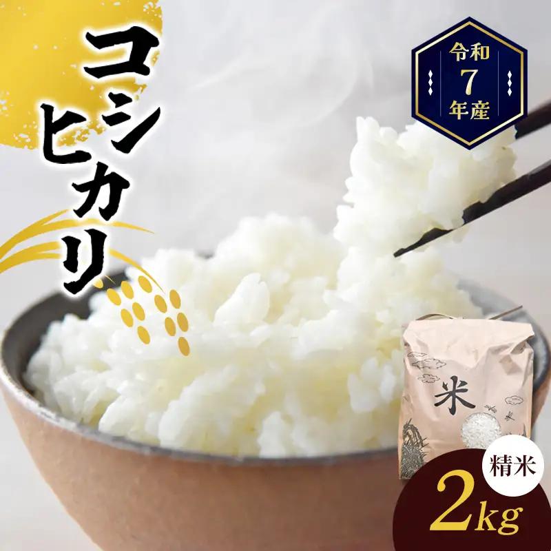 コシヒカリ 精米 お米 香川県産 令和8年産 コシヒカリ【6kg 3kg×2袋】 【46312558】◆