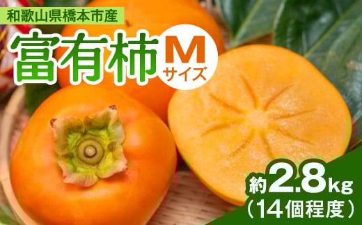 
ケーズファーム　富有柿　M　14個程度(約2.8kg)_ 柿 富有柿 果物 フルーツ くだもの ふるーつ 青果 国産 和歌山 かき 人気 送料無料 産地直送 甘い 家庭用 Mサイズ デザート 産直 秋の味覚 旬 カキ 【1135662】
