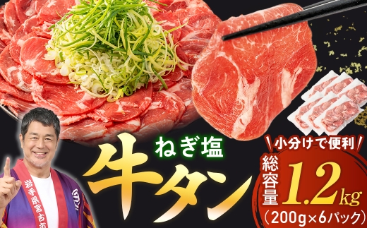 ＜訳あり＞宮古のねぎ塩牛タン 1.2kg 成型肉【1690816】