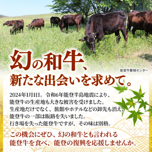能登牛 牛すじ 生 500g×1パック 能登牛 牛すじ 国産 黒毛和牛