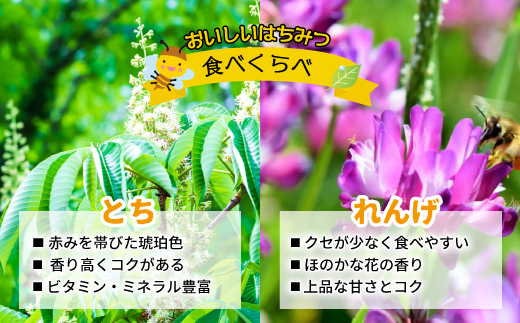 国産純粋完熟はちみつ大瓶セット(れんげ・とち)580g×2本[16-832]