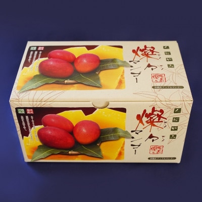 【2025年発送・優品】燦々マンゴー1.0kg(2～3玉)【配送不可地域：離島】