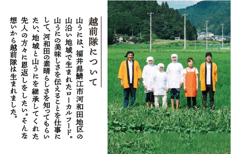 鯖江の伝統薬味「山うに」柚子赤３本セット 　辛口